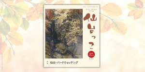 仙台っ子